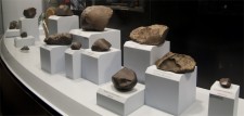 Esposizione di meteoriti presso il Museo di Scienze Planetarie di Prato (http://www.museoscienzeplanetarie.eu) Esposizione di meteoriti presso il Museo di Scienze Planetarie di Prato (http://www.museoscienzeplanetarie.eu)